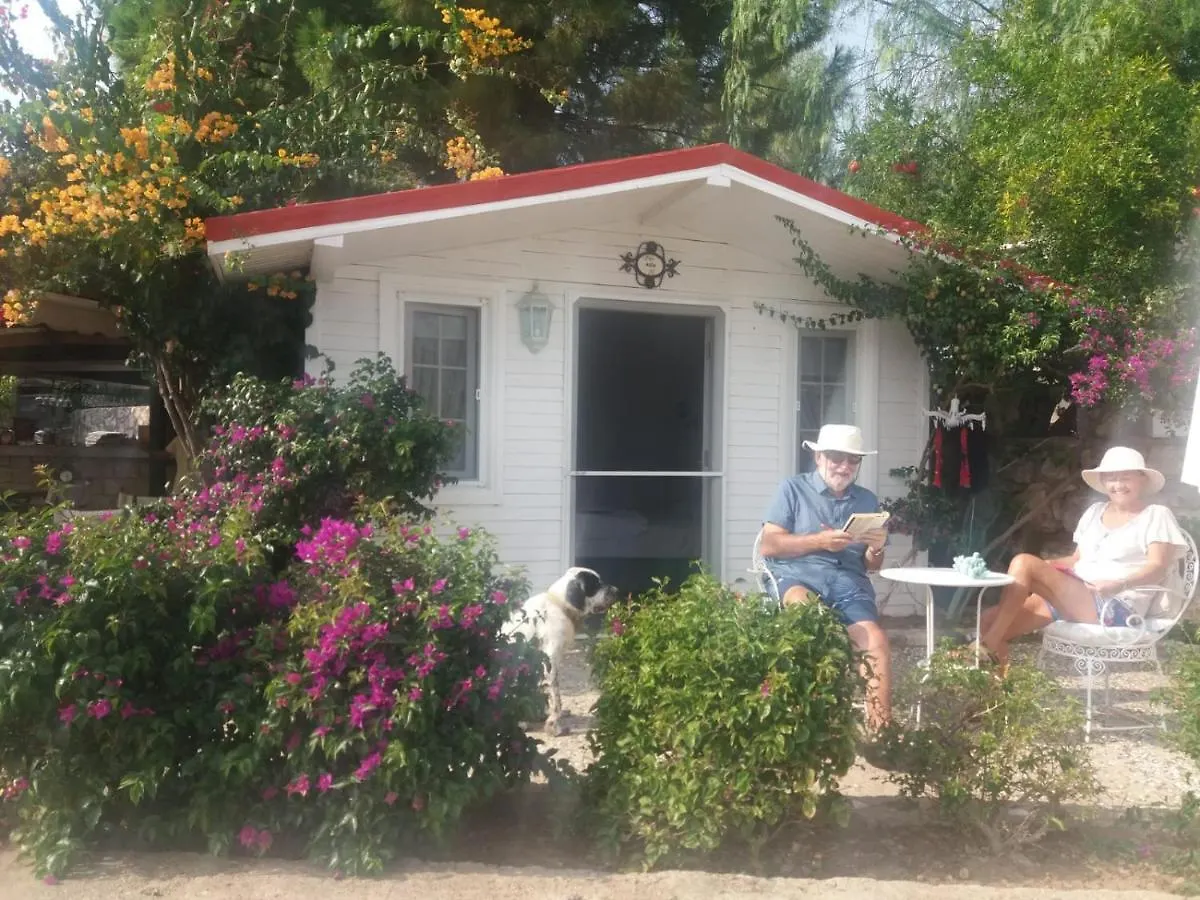 Konukevi Losta Sahil Evi - Adults Only +12 Selimiye