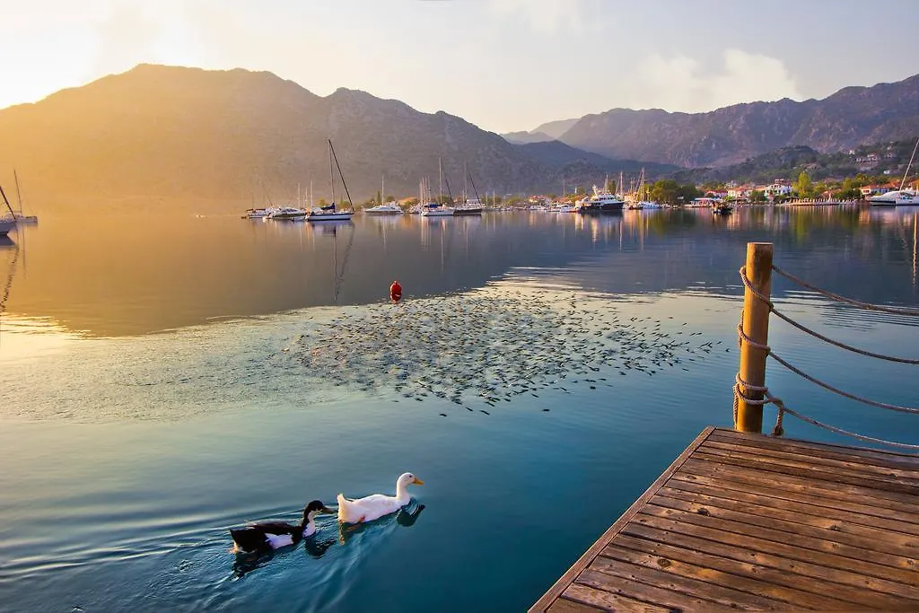Konukevi Losta Sahil Evi - Adults Only +12 Selimiye