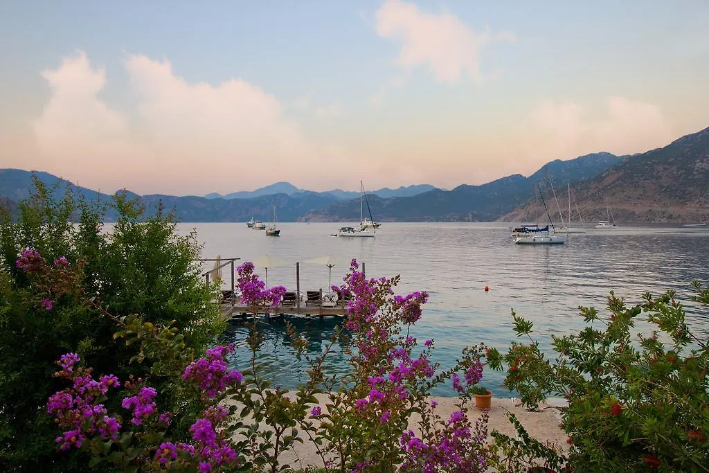 Konukevi Losta Sahil Evi - Adults Only +12 Selimiye  Türkiye