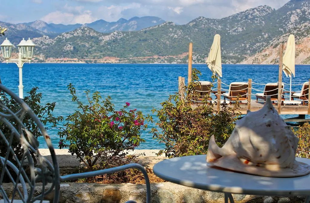 Losta Sahil Evi - Adults Only +12 Selimiye