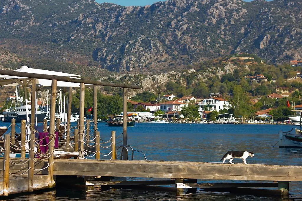 Konukevi Losta Sahil Evi - Adults Only +12 Selimiye  Türkiye