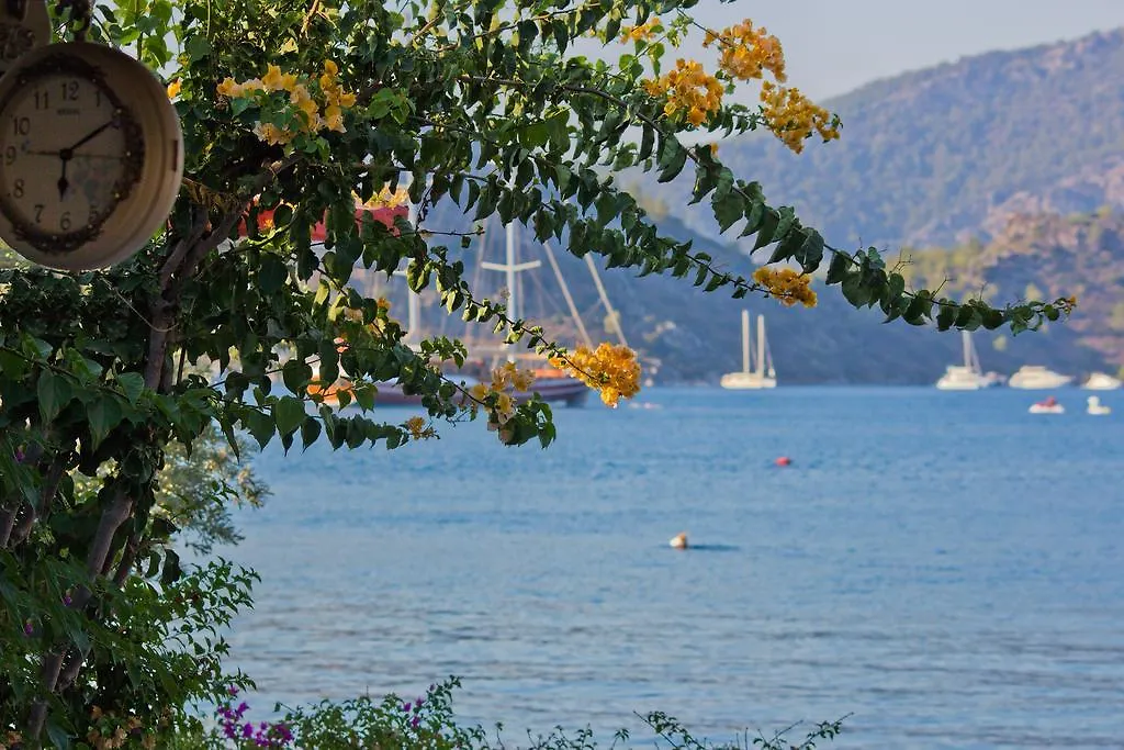 Losta Sahil Evi - Adults Only +12 Selimiye  0*, Selimiye (Aegean)